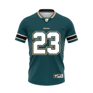 24NFL/H-1